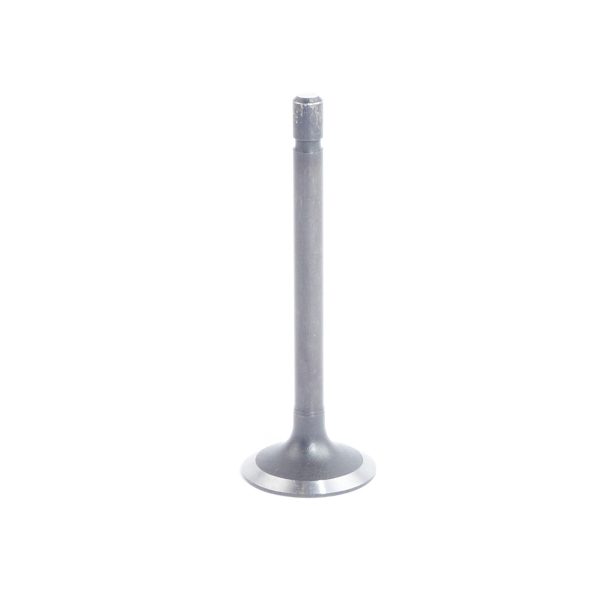 Válvula de escape Beta Marine Beta 16 | Beta 25 – Phasor K2-4.5