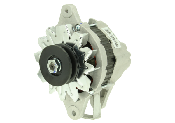 Dinamo Vetus M4.14 – Westerbeke – 12V 50A