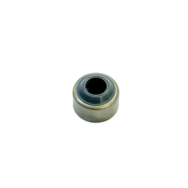 Retenes de vástago de válvula Beta Marine Beta 35 | Beta 38 – Nanni N4.38 – Universal M-35B