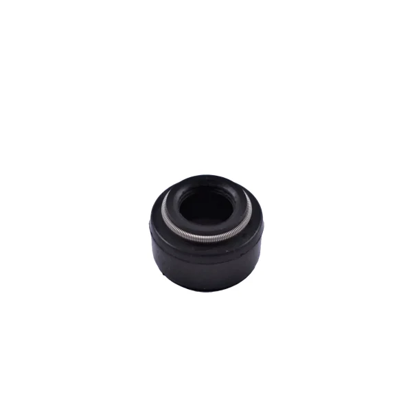 Retenes de válvula Solé Diesel Mini 18 – original