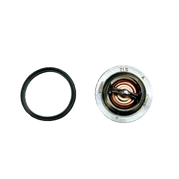 Termostato Beta Marine Beta 50 – Nanni N4.50