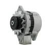 Alternador Yanmar 2YM 3YM 3JH 4JH 4LH 6LY 12V 80A
