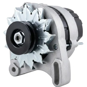 Alternador Lombardini Marine serie LDW 12V 55A